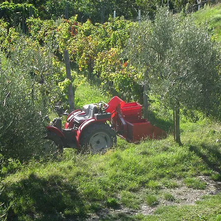 Farma Sostio A Levante Framura