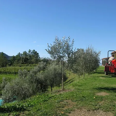 Farma Sostio A Levante