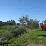 Alojamento de Turismo Rural Sostio A Levante