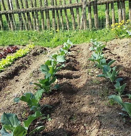 Alloggio per agriturismo Sostio A Levante *