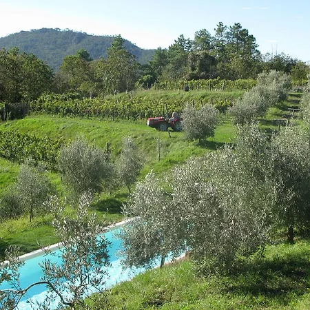 Sostio A Levante * Framura