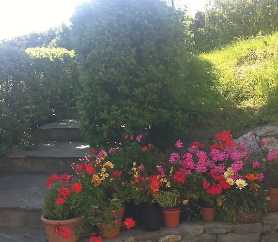 팜스테이 Sostio A Levante 파라무라