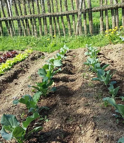 팜스테이 Sostio A Levante *