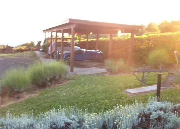 팜스테이 Sostio A Levante