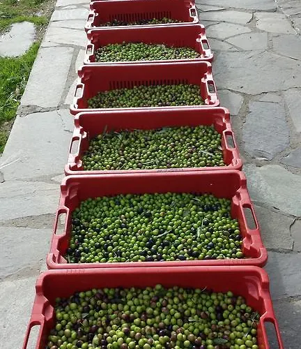 Sostio A Levante 파라무라