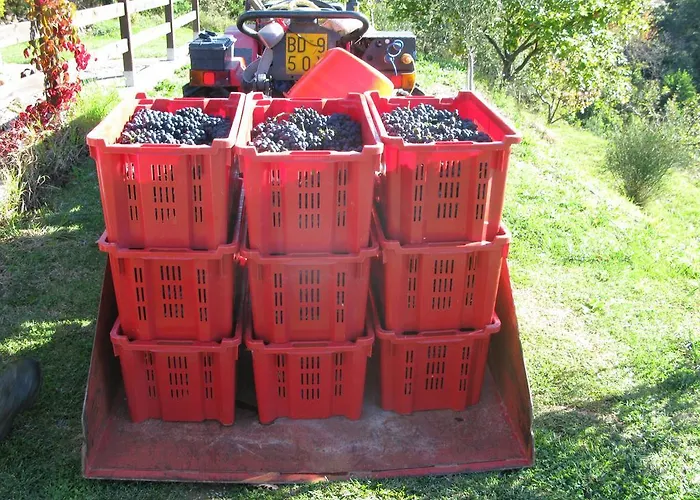 Sostio A Levante 파라무라