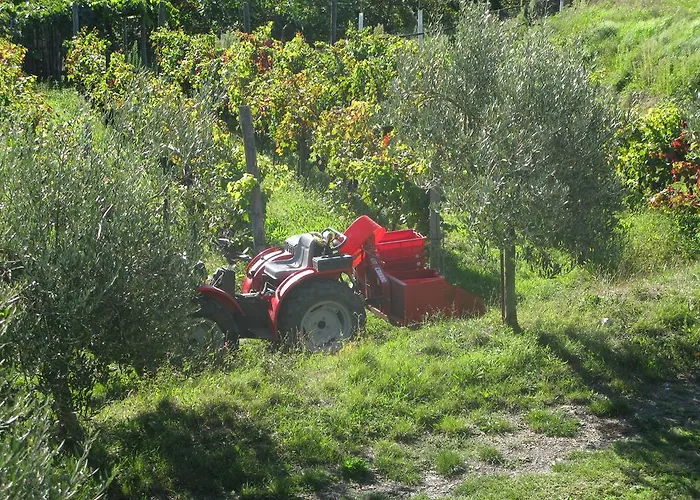 팜스테이 Sostio A Levante 파라무라