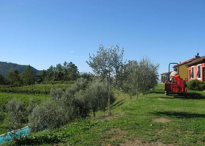 팜스테이 Sostio A Levante