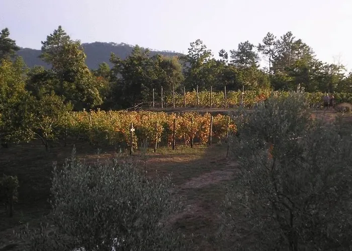 Sostio A Levante * 파라무라